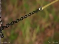 Queensnake - Puppy Nazryana 1